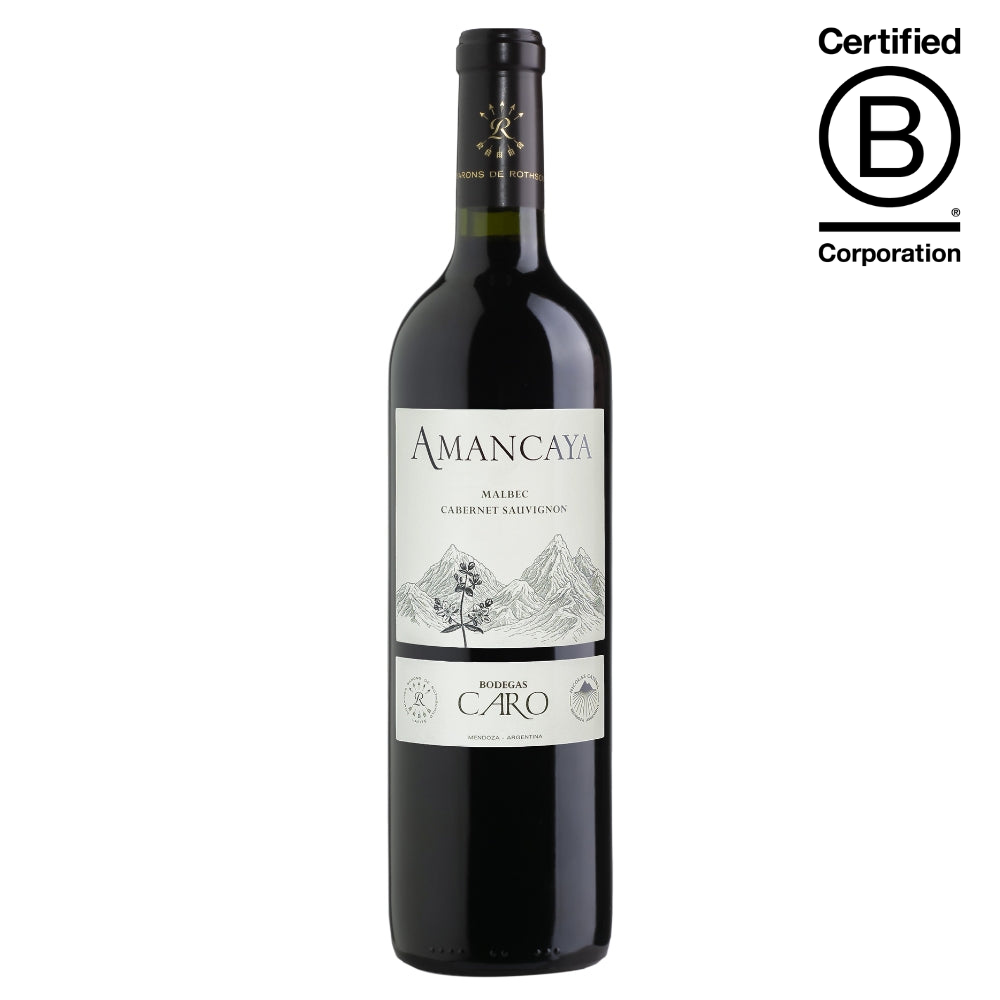 Bodegas Caro Amancaya 2021