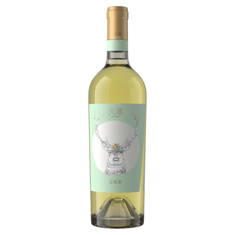 Tiansai Skyline of Gobi Chardonnay Muscat 2023