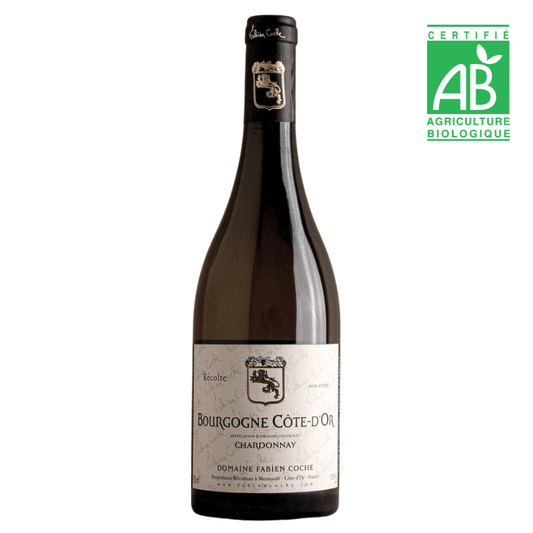 Fabien Coche Bourgogne Côte d'Or Chardonnay 2023