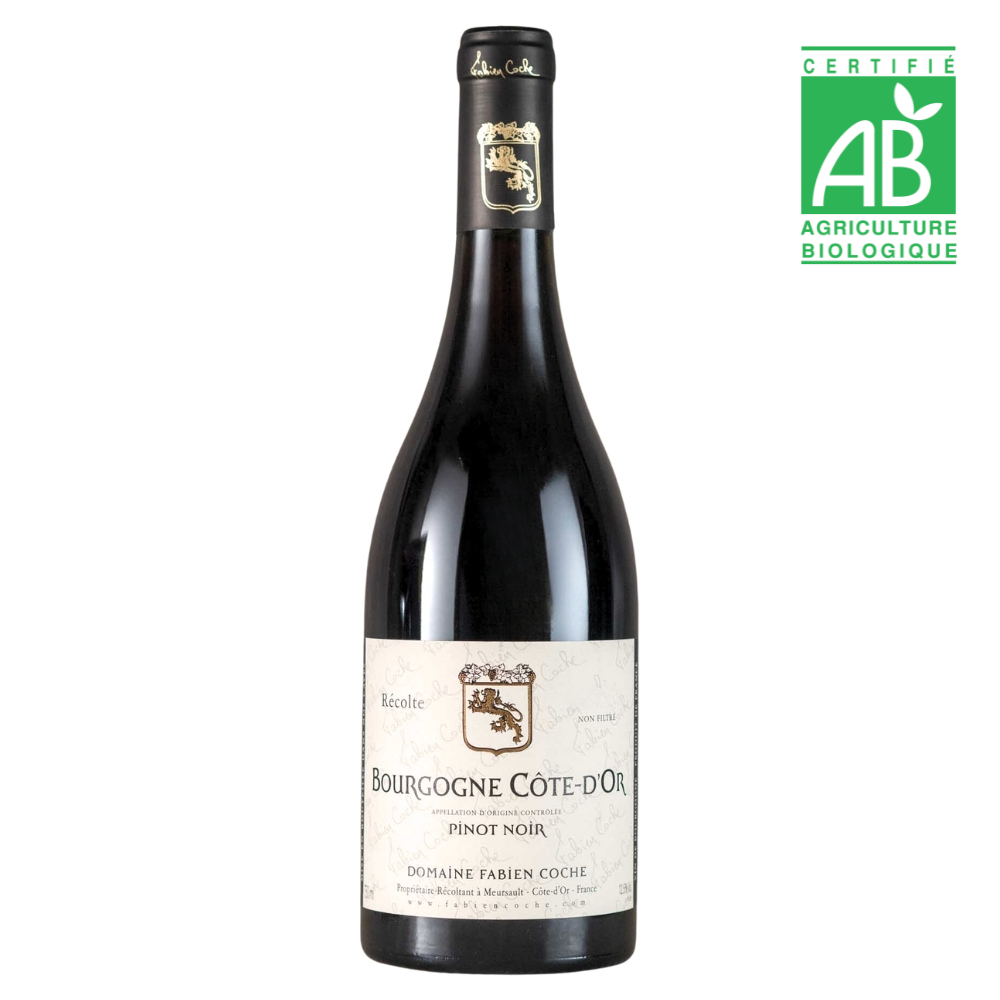 Fabien Coche Bourgogne Pinot Noir 2023