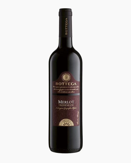 Bottega Merlot IGT Trevenezie 2023 bottle