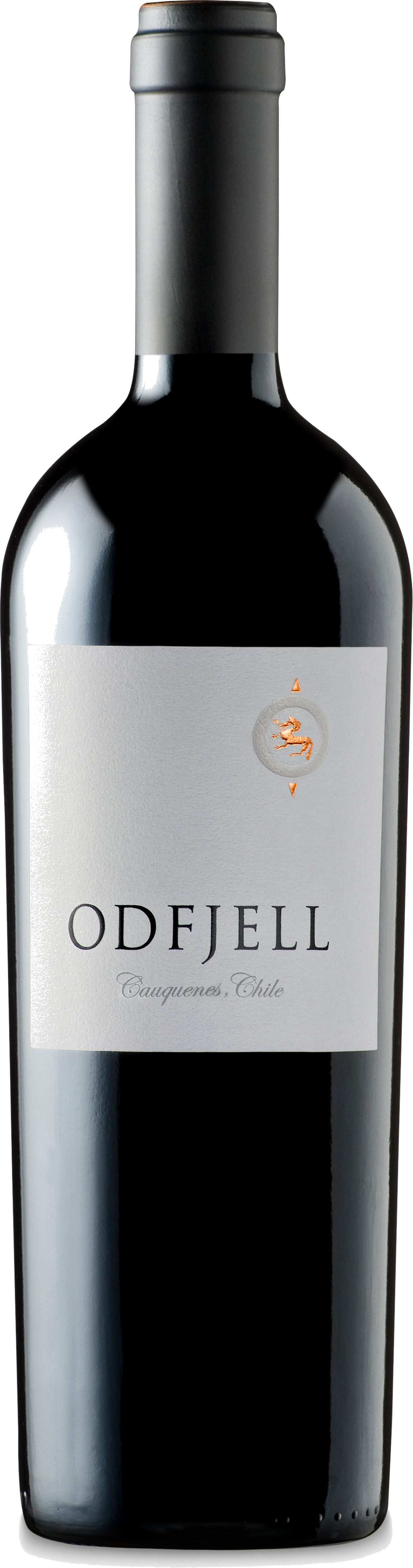 Odfjell Icon 2019