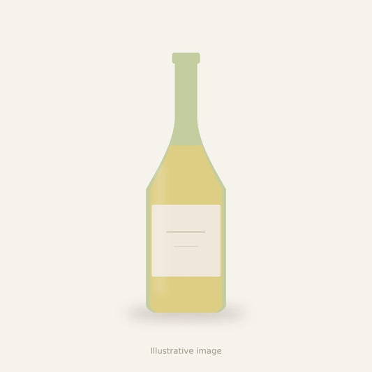 White wine – illustrative image