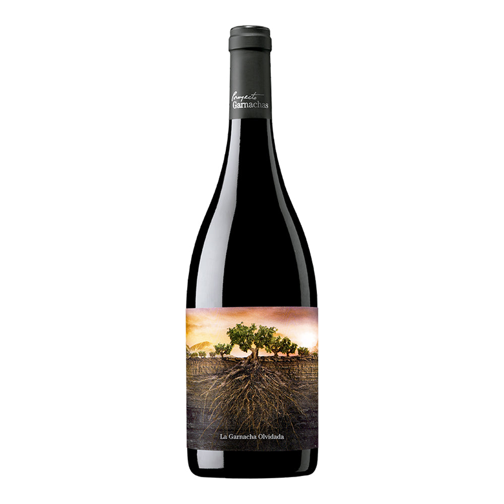 Proyecto Garnachas Olvidada De Aragon 2020 | Red Wine | Singapore